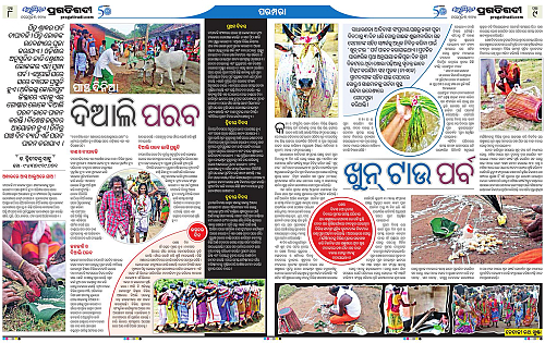 Avimat-03-11-2024-08