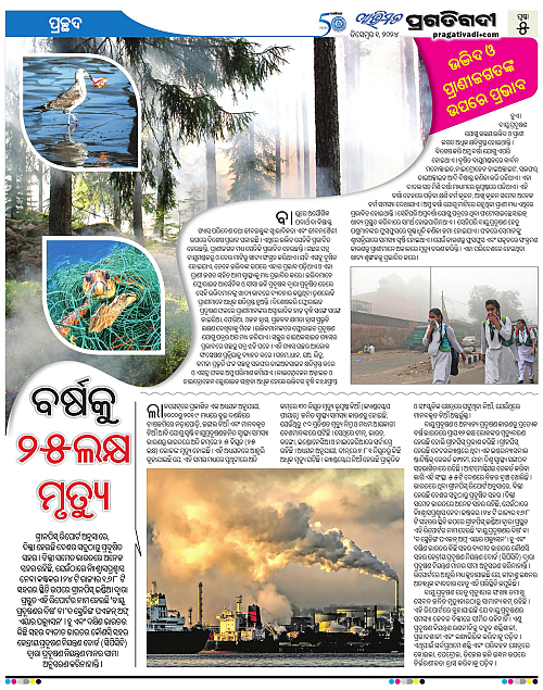 Avimat-01-12-2024-05