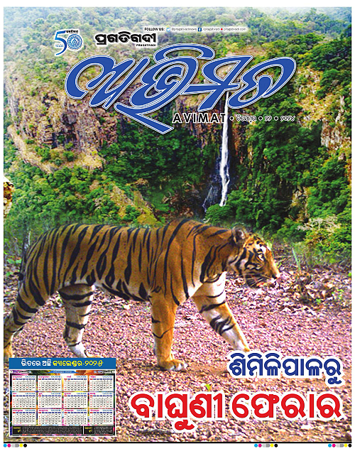 Avimat-22-12-2024-01