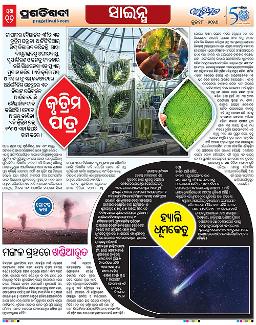 Avimat-28-06-2026-12
